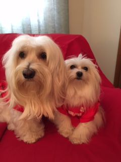 Lucky and Kindle